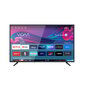Allview 43iPlay6000-U hind ja info | Televiisorid | hansapost.ee