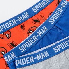Cool Club aluspüksid poistele Spiderman 3 tk., LUB2510012-00 hind ja info | Aluspesu poistele | hansapost.ee