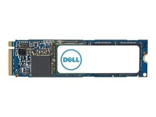 Dell AC037409 цена и информация | Внутренние жёсткие диски (HDD, SSD, Hybrid) | hansapost.ee