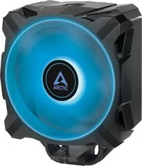 Arctic Freezer i35 RGB ACFRE00096A цена и информация | Кулеры для процессоров | hansapost.ee