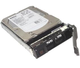 Dell 400-BCNP, 960GB hind ja info | Sisemised kõvakettad | hansapost.ee