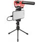 Rode mikrofon VideoMic NTG hind ja info | Mikrofonid | hansapost.ee