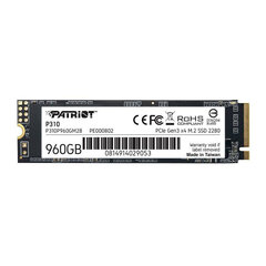 Patriot P310, 960GB hind ja info | Sisemised kõvakettad | hansapost.ee