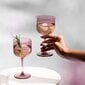 Like by Villeroy & Boch veiniklaasid 2 tk, Grape цена и информация | Klaasid, kruusid ja kannud | hansapost.ee