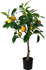 Искусственное лимонное дерево 70 см цена и информация | Детали интерьера | hansapost.ee