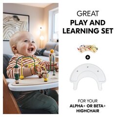 Развивающая игровая доска Hauck Alpha Play Moving Set цена и информация | Развивающие игрушки для детей | hansapost.ee