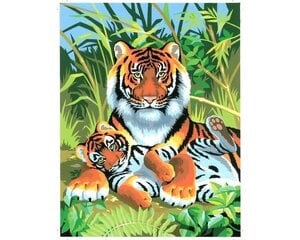 Maalimine numbrite järgi KSG Tigers, 30 x 23 cm hind ja info | Maalimiskomplektid numbrite järgi | hansapost.ee