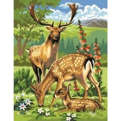Maalimine numbrite järgi KSG Woodland Animals, 30 x 23 cm, 2 tk. hind ja info | Maalimiskomplektid numbrite järgi | hansapost.ee