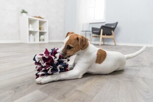 Trixie mänguasi koertele Dog Activity hind ja info | Koerte mänguasjad | hansapost.ee