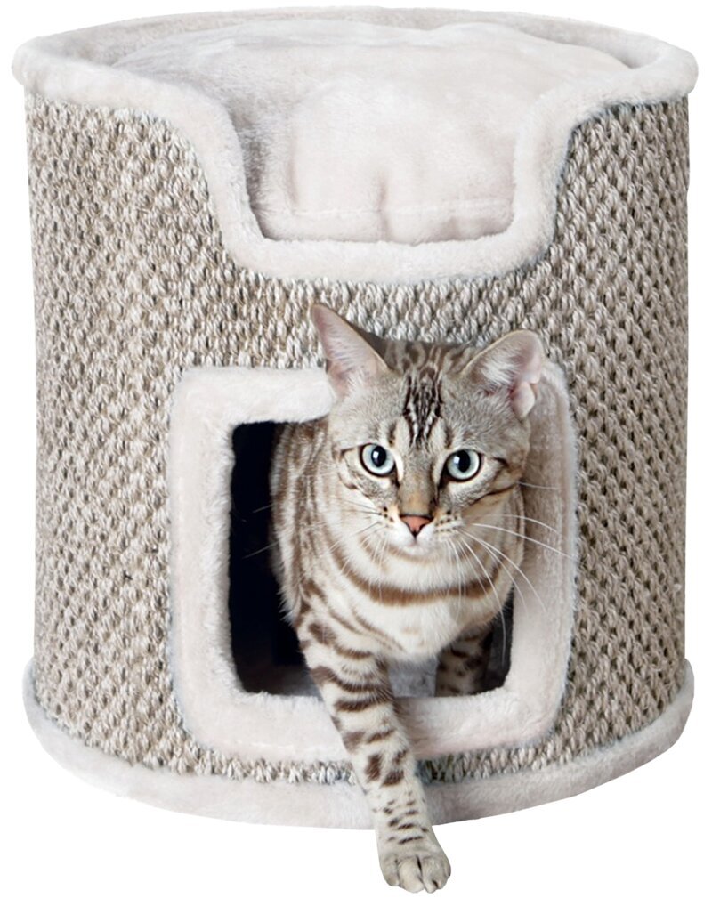 Trixie kraapimispost Ria Cat Tower, 37 cm цена и информация | Kassi ronimispuud | hansapost.ee