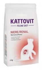 Kattovit kassidele Feline Diet Niere/Renal 4 kg hind ja info | Kattovit Lemmikloomatarbed | hansapost.ee