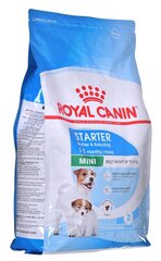 Royal Canin tiinetele ja imetavatele emastele koertele Mini Starter Mother&Babydog, 4 kg hind ja info | Koerte kuivtoit ja krõbinad | hansapost.ee