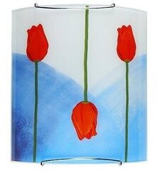Настенный светильник Candellux Tulipany цена и информация | Настенные светильники | hansapost.ee