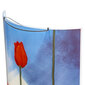 Candellux seinavalgusti Tulipany цена и информация | Seinavalgustid | hansapost.ee