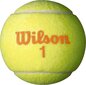 Välitennisepallid Wilson Starter Game, 3 tk hind ja info | Välitennise tooted | hansapost.ee