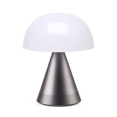 Настольный светильник LexonLH76MX цена и информация | Настольные лампы | hansapost.ee