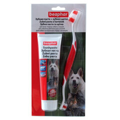 Beaphar зубная щетка и зубная паста для собак. цена и информация | Средства по уходу за животными | hansapost.ee