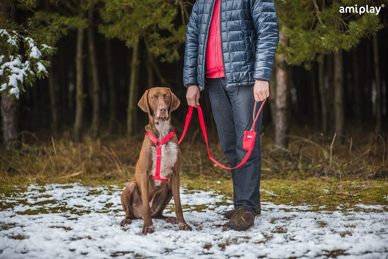 Amiplay ümbris kakakottidele Samba Black hind ja info | Hooldus/grooming | hansapost.ee