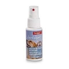 Candioli DentalPet Spray sprei 50 ml hind ja info | Hooldus/grooming | hansapost.ee