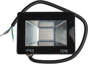 Omega LED prožektor 10W 4200K (43859) hind ja info | Täpsustamata Matkavarustus | hansapost.ee