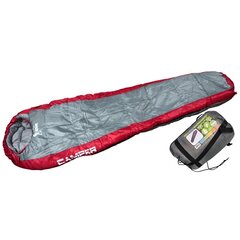 Спальный мешок Royokamp Camper, односпальный, серый цена и информация | Спальные мешки | hansapost.ee