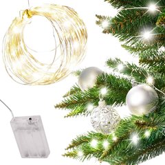 LED tuled, 5 m 50 LED-i, külm valge цена и информация | Новогодняя гирлянда Holiday, 10 светодиодов, 30 см | hansapost.ee