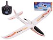 Samolot RC WLtoys Sky King F959S 2,4GHz цена и информация | Mänguasjad poistele | hansapost.ee