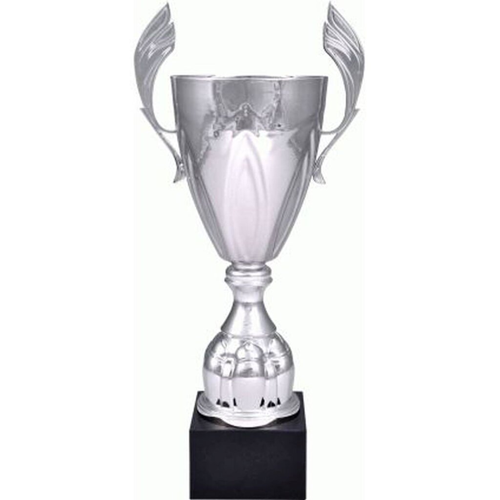 Puchar Metalowy Srebrny 4127B цена и информация | Muud kingiideed | hansapost.ee