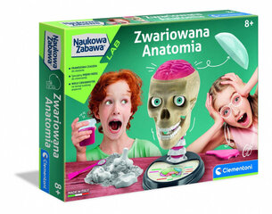 Модель человеческого черепа Clementoni цена и информация | Развивающие игрушки для детей | hansapost.ee