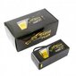 Tattu Plus baterija Gens Ace 16000mAh 22.2V 15C 6S1P LiPo AS150+XT150 hind ja info | Autoakud | hansapost.ee