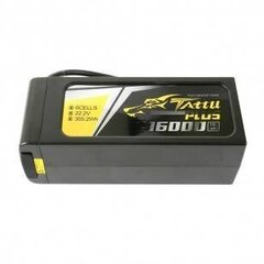 Аккумулятор Tattu Plus Gens Ace 16000mAh 22.2V 15C 6S1P LiPo AS150+XT150 цена и информация | Tattu Автотовары | hansapost.ee