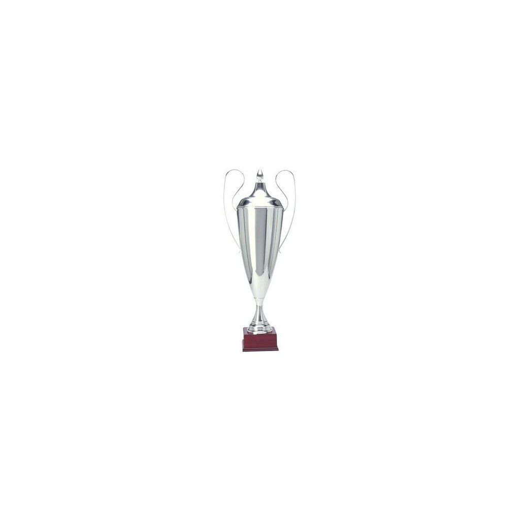 Puchar Metalowy Srebrny T-D 1042-N/C цена и информация | Muud kingiideed | hansapost.ee