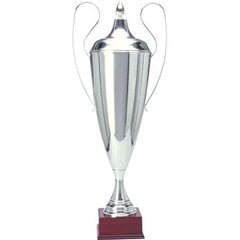 Puchar Metalowy Srebrny T-D 1042-N/C цена и информация | Другие оригинальные подарки | hansapost.ee