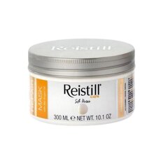 Маска для осветленных и поврежденных волос Anti-Age Reistill Repair Essential, 300 мл цена и информация | Маски, масла, сыворотки | hansapost.ee