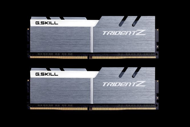 G.Skill TridentZ DDR4, 2x8GB, 3200MHz, CL14 (F4-3200C14D-16GTZSW) hind ja info | Operatiivmälu | hansapost.ee