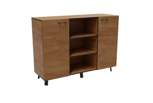 Комод ADRK Furniture Lofton Craft, коричневый цена и информация | Комоды | hansapost.ee