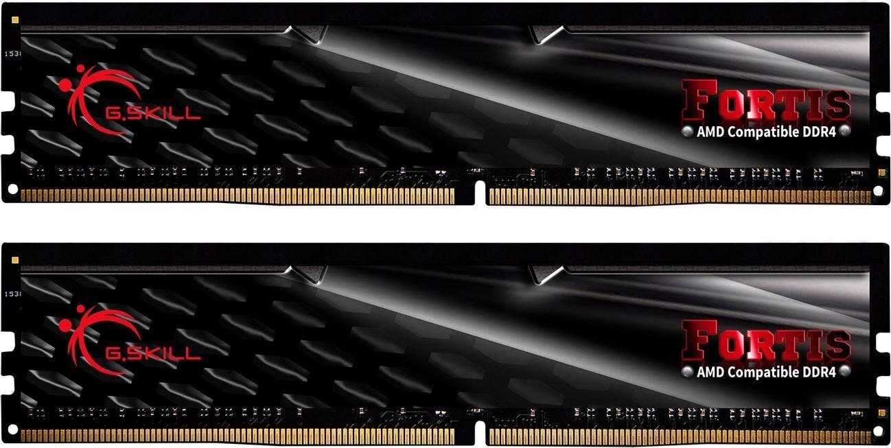 G.Skill Fortis DDR4, 2x16GB, 2400MHz, CL15 (F4-2400C15D-32GFT) цена и информация | Operatiivmälu | hansapost.ee