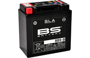Аккумулятор SLA BB9-B цена и информация | Аккумуляторы | hansapost.ee