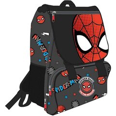Повседневный рюкзак Spiderman, чёрный, 28.5 x 15 x 41 см цена и информация | Школьные рюкзаки, спортивные сумки | hansapost.ee