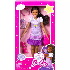 Кукла Барби HLL20 цена и информация | Игрушки для девочек | hansapost.ee