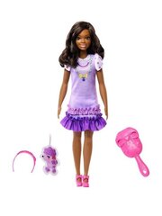 Кукла Барби HLL20 цена и информация | Barbie Товары для детей и младенцев | hansapost.ee