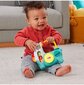 Interaktiivne laama Fisher-Price HNM86 hind ja info | Beebide mänguasjad | hansapost.ee