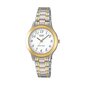 Casio Unisex käekell Casio LTP-1263PG-7BEG цена и информация | Käekellad meestele | hansapost.ee