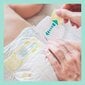 Mähkmed Pampers Premium Care 2 (4-8 kg), 224 tk цена и информация | Mähkmed, riidest mähkmed | hansapost.ee