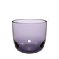 Villeroy & Boch klaas Like, 280 ml, 2 tk. hind ja info | Klaasid, kruusid ja kannud | hansapost.ee