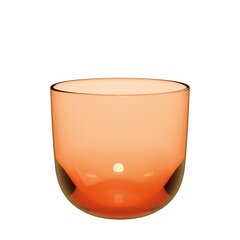 Villeroy & Boch klaas Like, 280 ml, 2 tk. hind ja info | Klaasid, kruusid ja kannud | hansapost.ee