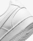 Nike naiste vabaajajalats COURT VISION LO NN, valge цена и информация | Spordijalatsid ja vabaajajalatsid naistele | hansapost.ee
