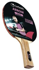 Table tennis bat GARLANDO Arrow 2 starr цена и информация | Ракетки для настольного тенниса, чехлы и наборы | hansapost.ee