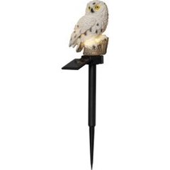 Päikesepaneeliga dekoratsioon Owl price and information | Garden lights and outdoor lights | hansapost.ee