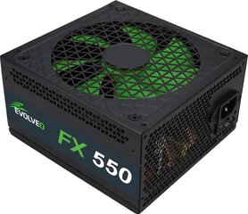 Evolveo FX 550 цена и информация | Материнские платы (PSU) | hansapost.ee